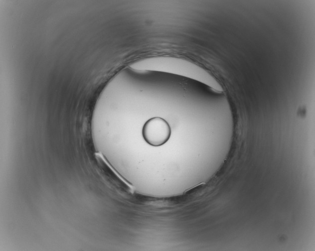 X0000113060417200909182006