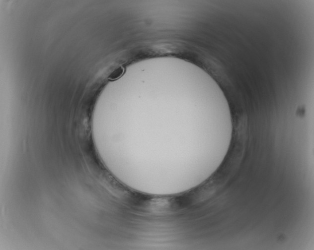 X0000113060418200909182006