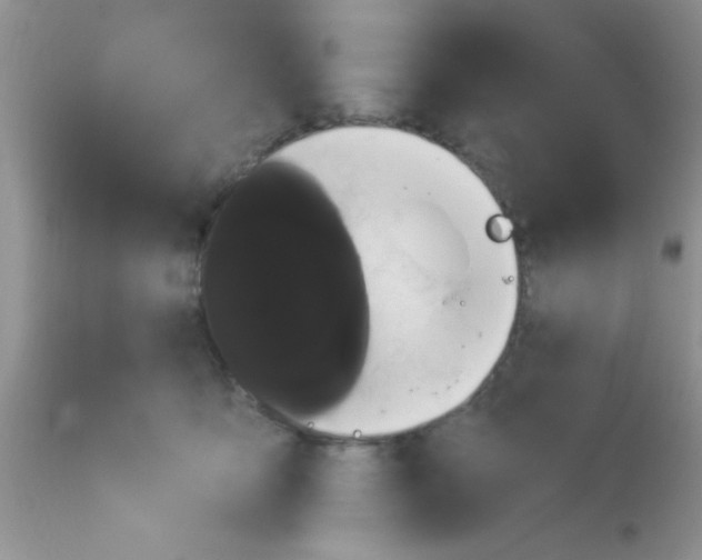 X0000113060419200909182006