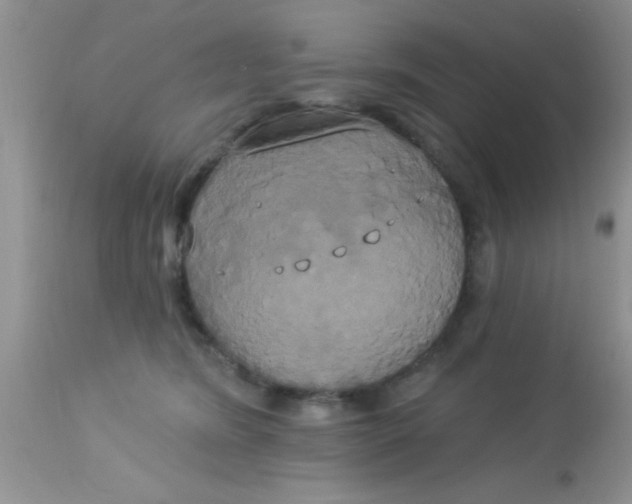 X0000113060420200909182006