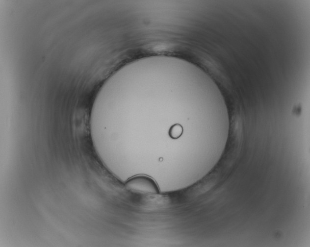 X0000113060421200909182005