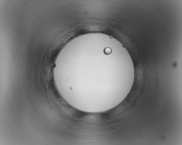 X0000113060422200909182005