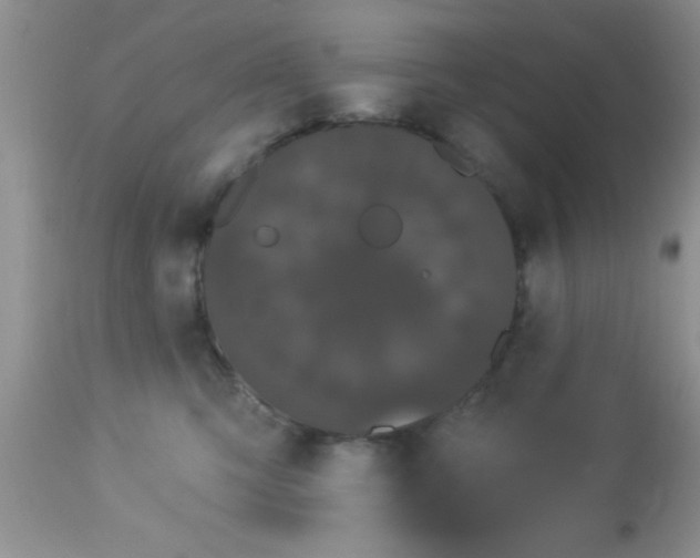 X0000113060423200909182005