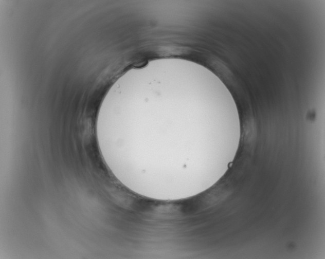 X0000113060426200909182005