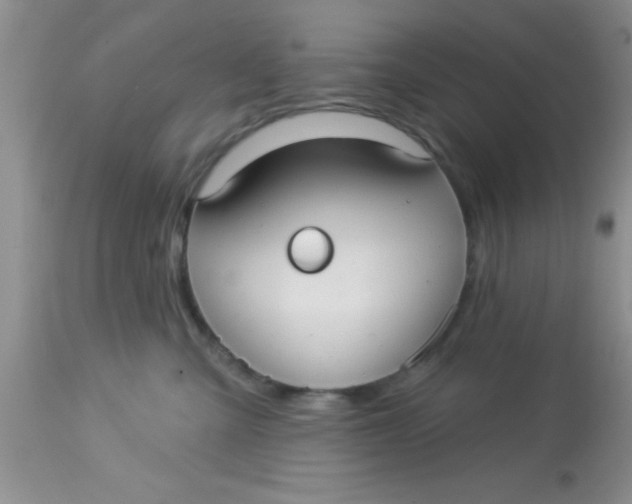 X0000113060427200909182005