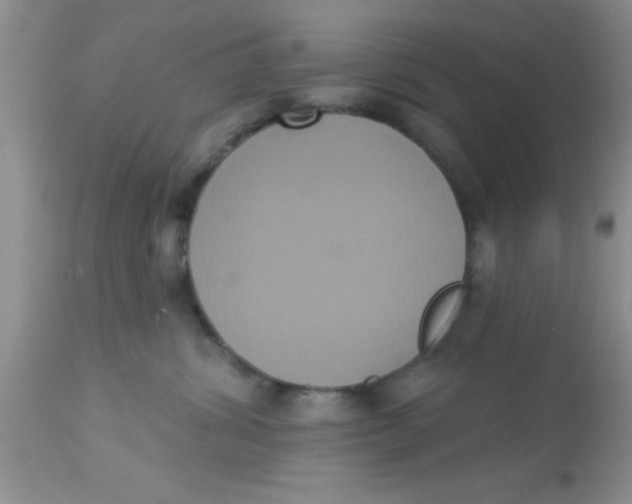 X0000113060428200909182005