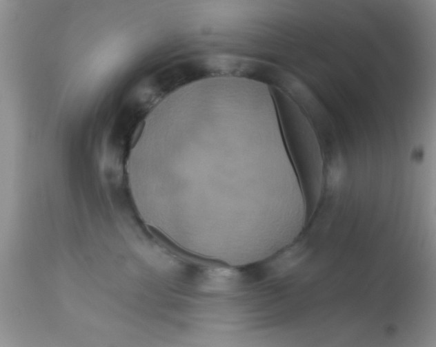 X0000113060429200909182005