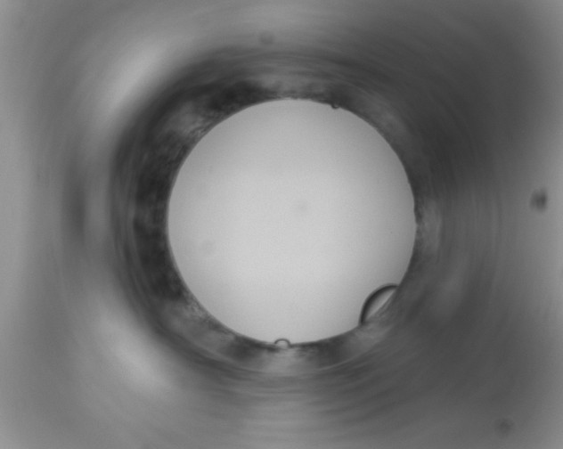 X0000113060430200909182005