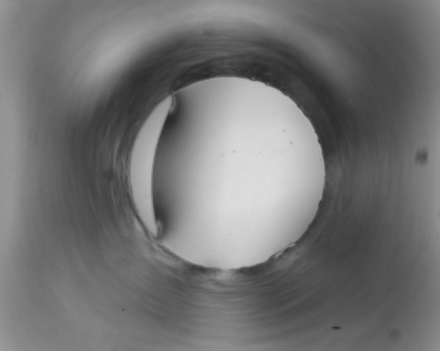 X0000113060431200909182005