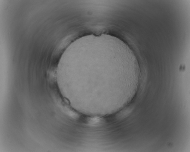 X0000113060432200909182005