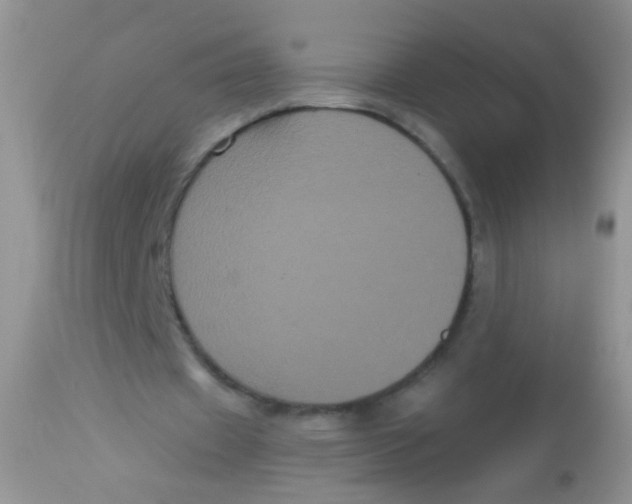 X0000113060433200909182005