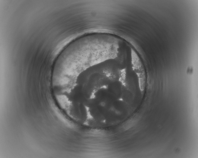 X0000113060437200909182005