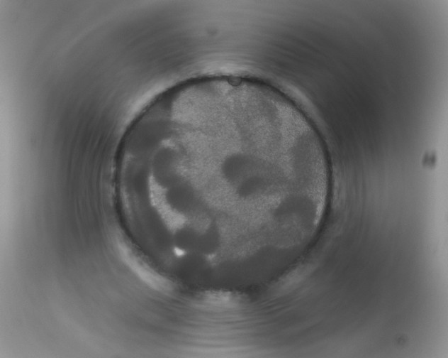 X0000113060439200909182005