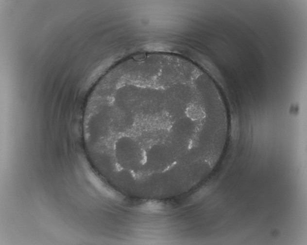 X0000113060441200909182005