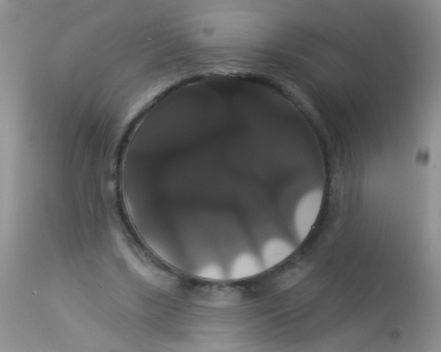 X0000113060443200909182005