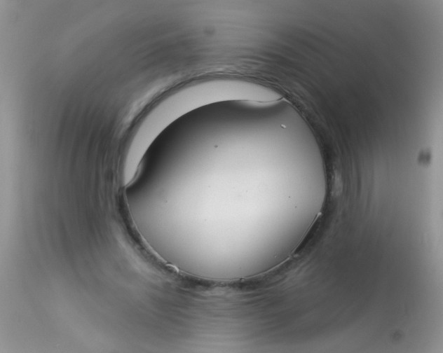 X0000113060444200909182005