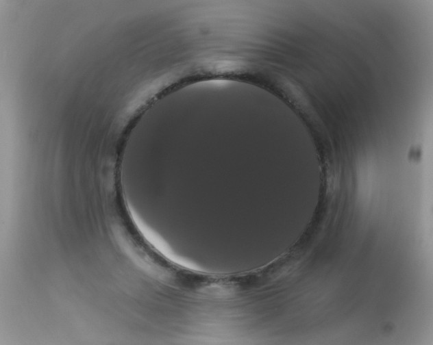 X0000113060447200909182005