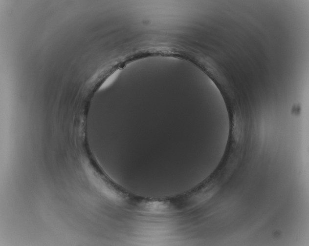 X0000113060449200909182005