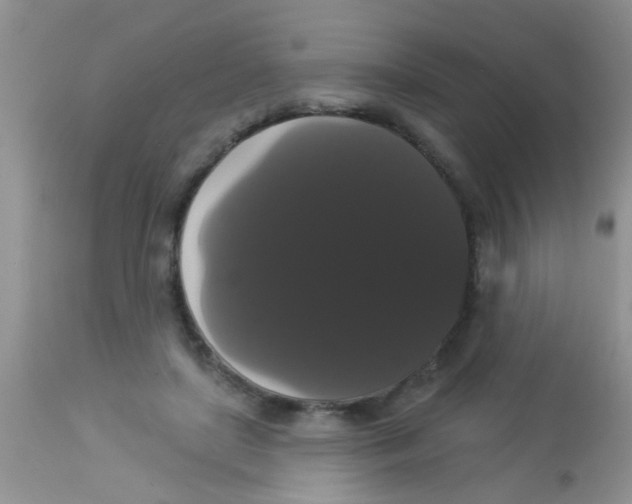 X0000113060451200909182005