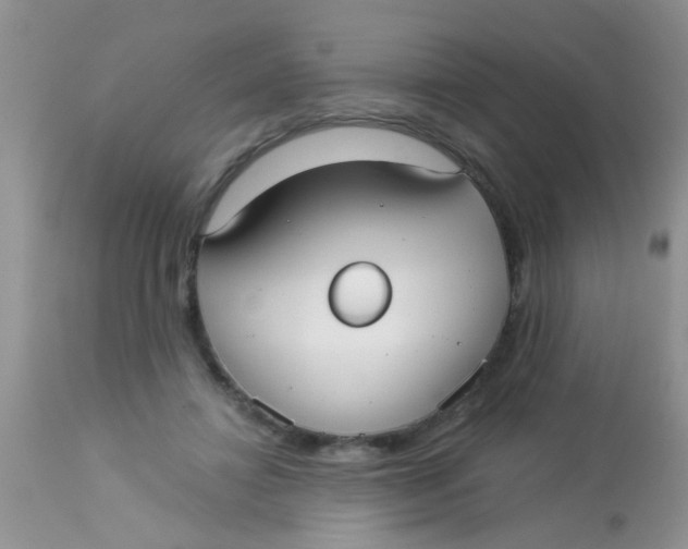 X0000113060452200909182005