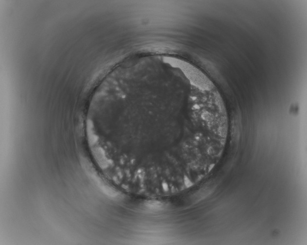 X0000113060453200909182005