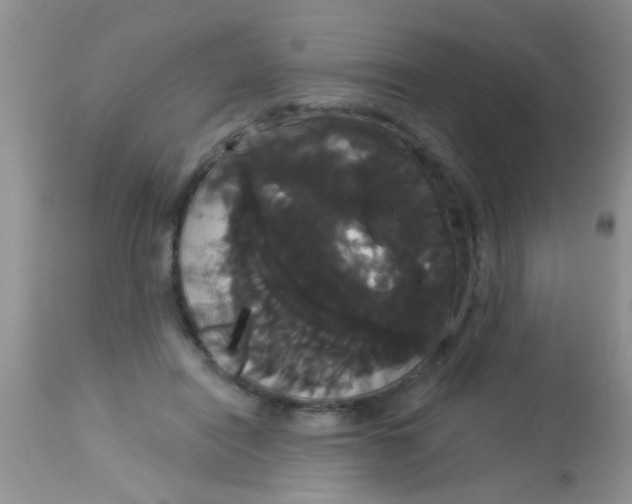 X0000113060454200909182005