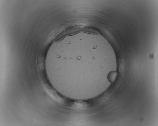 X0000113060455200909182005