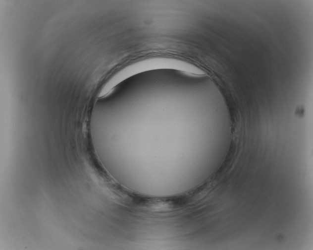 X0000113060456200909182005