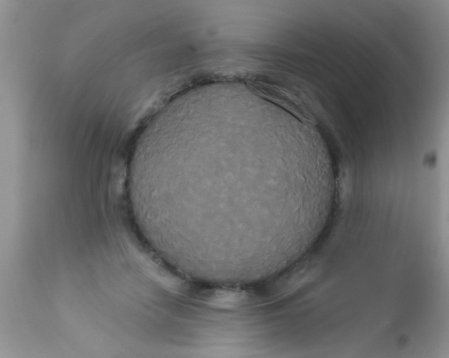 X0000113060458200909182005