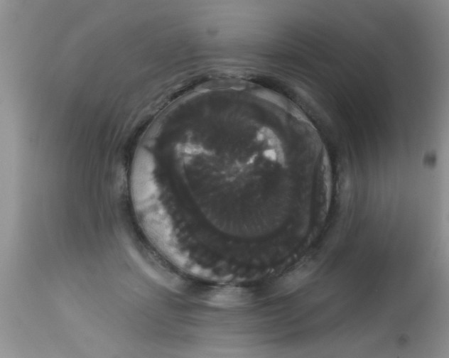 X0000113060459200909182005