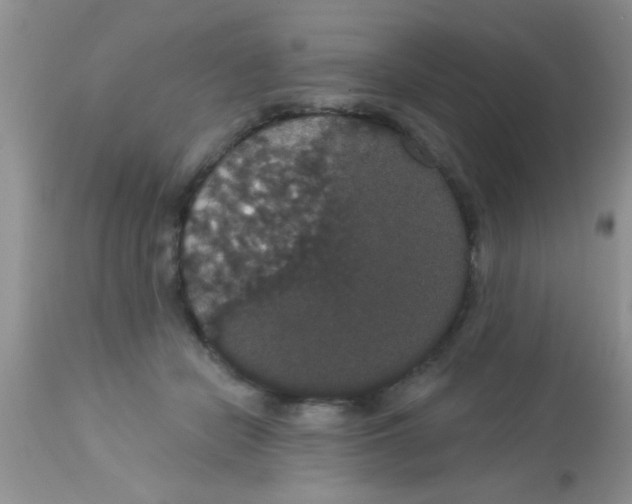 X0000113060462200909182005