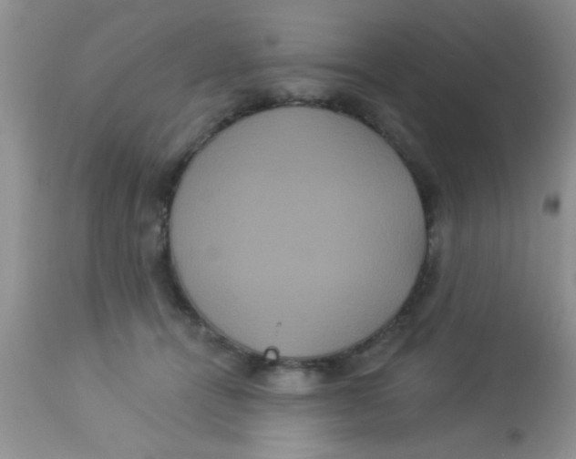 X0000113060464200909182005