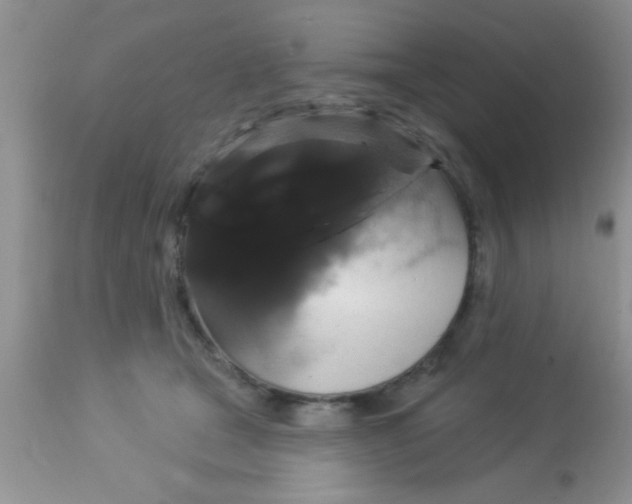 X0000113060465200909182005