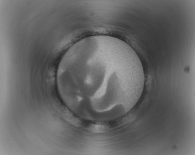 X0000113060466200909182005