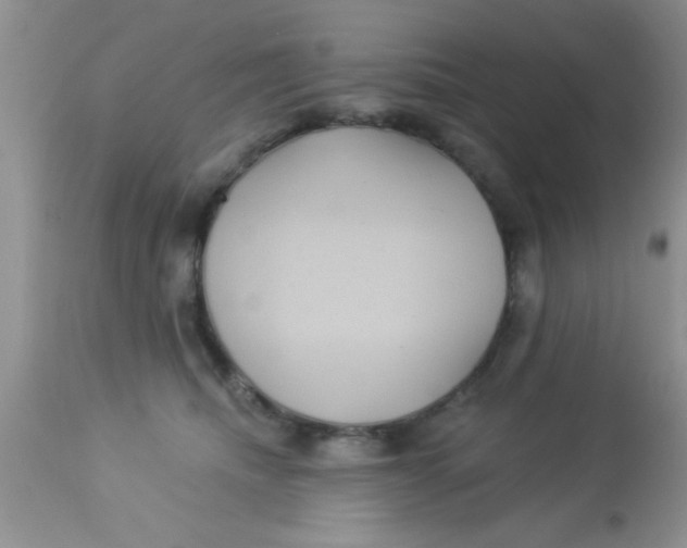 X0000113060468200909182005