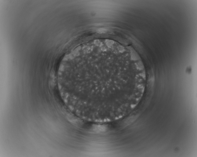 X0000113060469200909182005