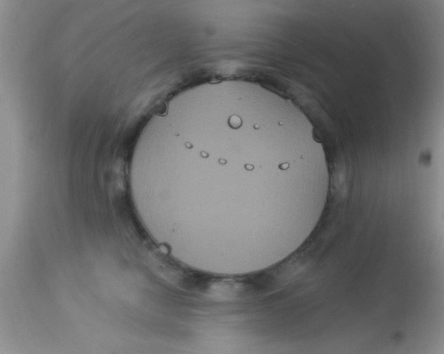 X0000113060470200909182005