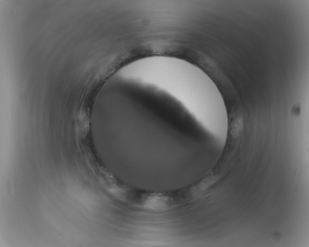 X0000113060471200909182005