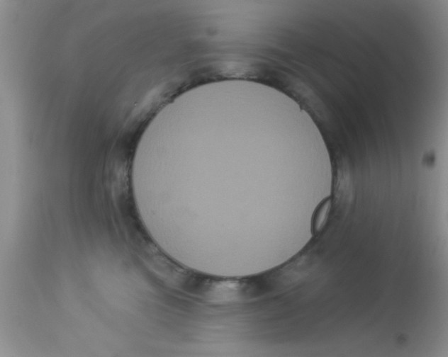 X0000113060473200909182005