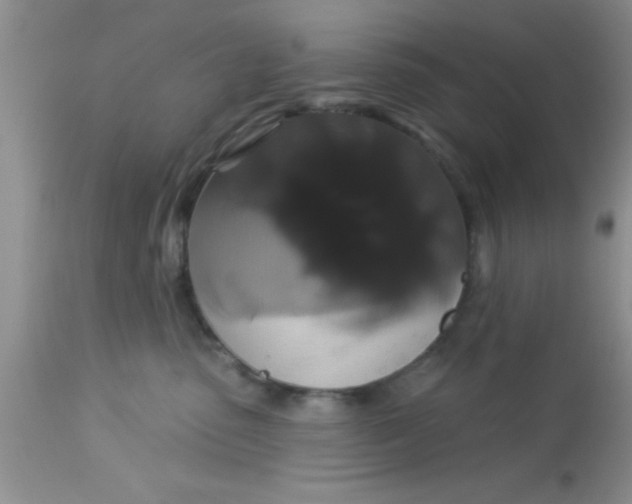 X0000113060475200909182005