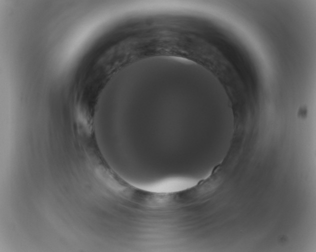 X0000113060479200909182005