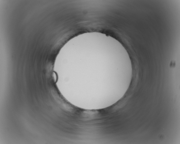 X0000113060480200909182005