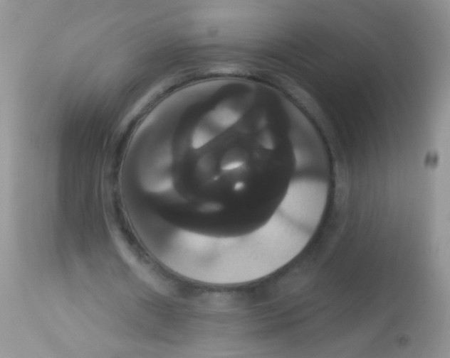 X0000113060482200909182005