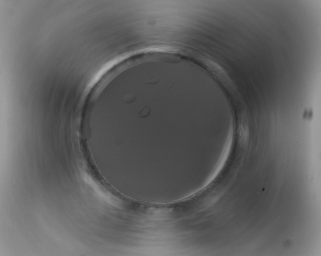 X0000113060484200909182005