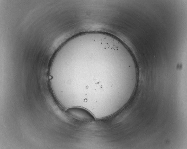 X0000113060485200909182005