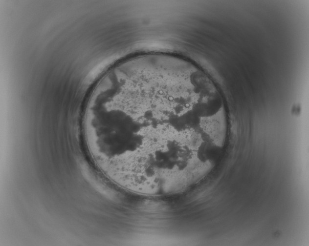 X0000113060487200909182005