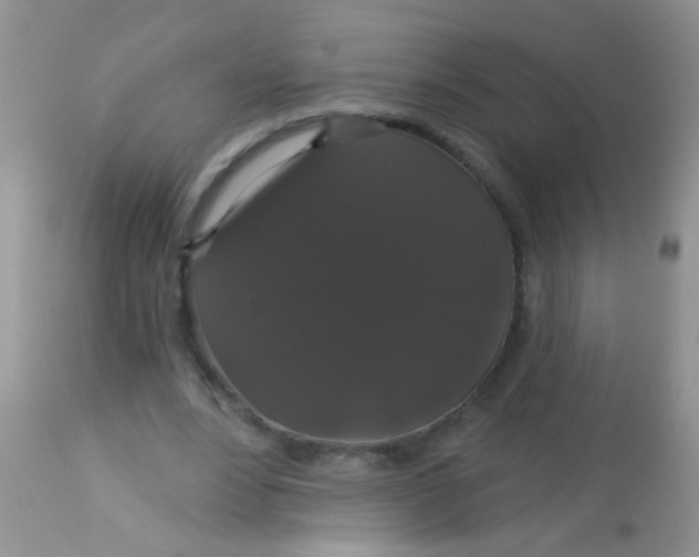 X0000113060488200909182004