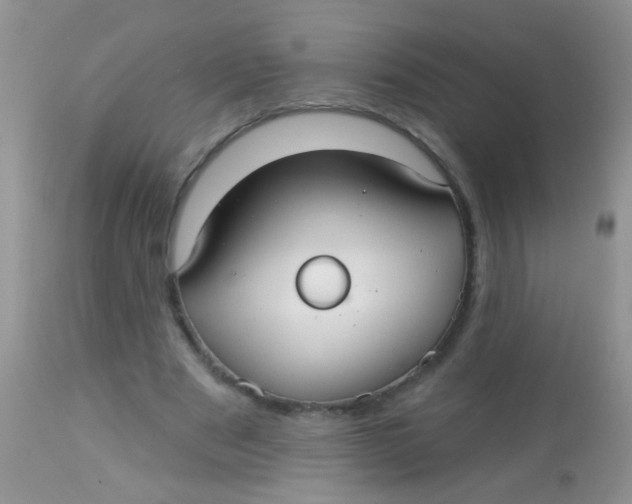 X0000113060489200909182004