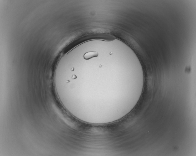 X0000113060490200909182004