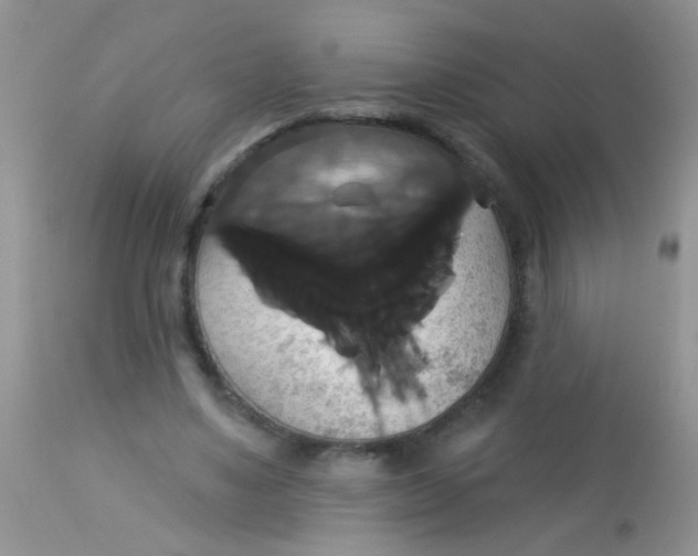 X0000113060491200909182004